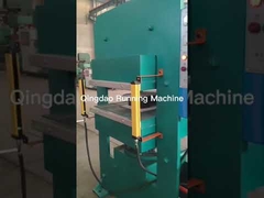 Máquina de vulcanización de goma 160T de la prensa del moldeo hidráulico del sello de aceite del plato